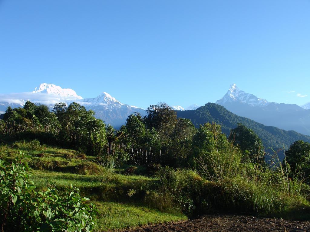 The North Face Inn Pokhara Exteriör bild